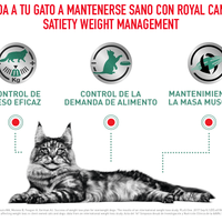 Royal Canin Alimento Gatos Satiety Support Feline Obesidad Constipacion