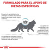 Alimento Royal Canin Anallergenic Gato 2.5kg Hipoalergénico Premium