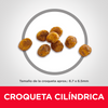 Hills Science Diet Adult 7+ Alimento Gatos Senior Alimento Seco Croquetas