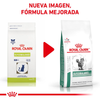 Royal Canin Alimento Gatos Glycobalance Feline Diabetes Mellitus  2 kg