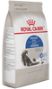 Royal Canin Alimento Gatos Indoor Adult Gatos Interiores Croqueta iPos