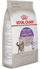 Royal Canin Alimento Gatos Adulto Spayed Neutered Appetite Control de Apetito iPos
