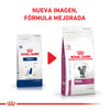 Royal Canin Alimento Gatos Renal Support F Feline Enfermedad Renal Pienso Croqueta