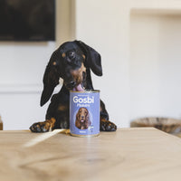 Gosbi Plaisirs Perro Alimento Húmedo Sabor Salmón 380g Comida Natural y Nutritiva