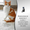 Natures Miracle Removedor Manchas Olores Desinfectante Gato