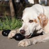 KONG Extreme Goodie Bone: El Juguetes de Masticación de Alta Resistencia para Perros con Dientes Fuertes
