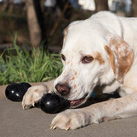 KONG Extreme Goodie Bone: El Juguetes de Masticación de Alta Resistencia para Perros con Dientes Fuertes