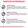 Royal Canin Alimento Gatos Renal Support F Feline Enfermedad Renal Pienso Croqueta