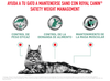 Royal Canin Alimento Gatos Satiety Support Feline Obesidad Constipacion