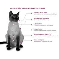 Nupec Felino Renal Care 1.5 Kg Alimento para Gatos Auxiliar en Problemas Renales