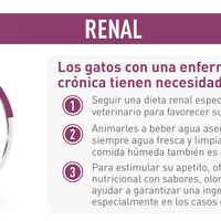 Royal Canin Alimento Gatos Renal Support F Feline Enfermedad Renal Pienso Croqueta