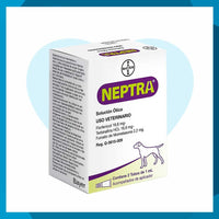 Neptra Elanco Solucion Otica Florfenicol 2 Pipetas 1 Ml