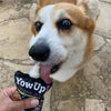 Yow Up! Yogurt Skin And Hair Perro 115 Gr