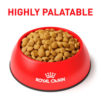 Royal Canin Alimento Gatos Weight Control Feline Control Peso Croqueta Pienso