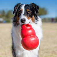 KONG Bounzer: El Juguete de Buscar y Recuperar que Mantiene a tus Perros Activos y Felices