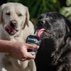 Yow Up! Yogurt Natural Perro 115 Gr Prebioticos