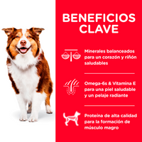 Hills Science Diet Alimento Perros Adulto 7+ 12 kg Alimento Seco Croquetas Pienso