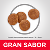 Hills Science Diet Alimento Perros Adulto Raza Grande Croqueta Pienso