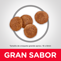 Hills Science Diet Alimento Perros Adulto Raza Grande Croqueta Pienso