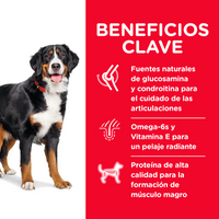 Hills Science Diet Alimento Perros Adulto Raza Grande Croqueta Pienso