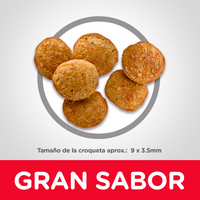 Hills Science Diet Adult Light Alimento para Gatos Adulto Bajo en Calorías Croqueta