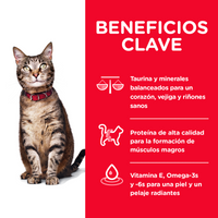 Hills Science Diet Adult Alimento Gatos Adulto Original Optimal Care Croqueta
