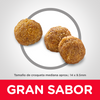 Hills Science Diet Alimento Perros Adulto Original Croquetas Pienso