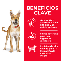Hills Science Diet Alimento Perros Adulto Original Croquetas Pienso