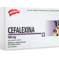 Holliday Cefalexina Antibiotico 500 mg 30 Tab