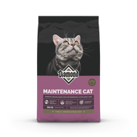 Diamond Alimento Gatos Adultos Maintenance Cat Croquetas