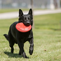 Flyer KONG Clásicos para Mascotas: Juegos de Buscar y Recoger el Disco para Perros Inteligentes
