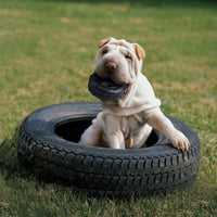 KONG Tire: El Juguete de Masticación Extremo para Cachorros y Adultos, Fomenta la Salud Oral y Reduce el Estrés