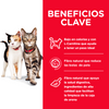 Hill's Science Diet Multiple Benefit Alimento Saludable para Hogares con Varios Gatos
