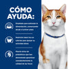 Hill's Prescription Diet ONC Care Nutrición y Apoyo de Recuperación Alimento Seco para Gato, 3.2 Kg