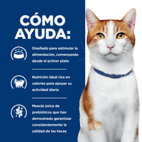 Hill's Prescription Diet ONC Care Nutrición y Apoyo de Recuperación Alimento Seco para Gato, 3.2 Kg