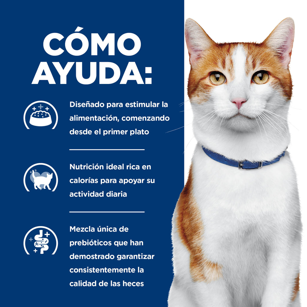Hill's Prescription Diet ONC Care Nutrición y Apoyo de Recuperación Alimento Seco para Gato, 3.2 Kg