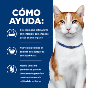 Hill's Prescription Diet ONC Care Nutrición y Apoyo de Recuperación Alimento Seco para Gato, 3.2 Kg