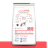 Hill's Prescription Diet ONC Care Nutrición y Apoyo de Recuperación Alimento Seco para Gato, 3.2 Kg