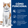 Hill's Prescription Diet ONC Felino Lata con 82 gr de Alimento Húmedo para Gatos con Cáncer Nutrición Clínica para una Vida Plena y Saludable