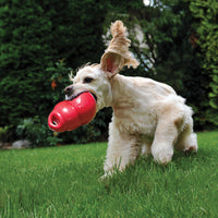KONG Bounzer: El Juguete de Buscar y Recuperar que Mantiene a tus Perros Activos y Felices