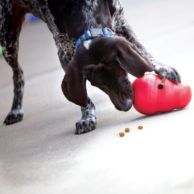 KONG Wobbler: El Juguete que Estimula la Inteligencia y el Entrenamiento de tu Perro