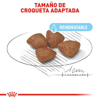Royal Canin Alimento Perros Starter Small Dog Raza Pequeña Cachorros Gestacion Lactancia