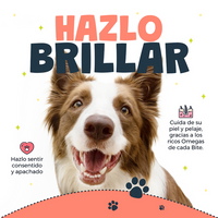 Premios Waggy’s Bites Salmón 50 Pzas Deliciosos y Nutritivos para Perros y Gatos