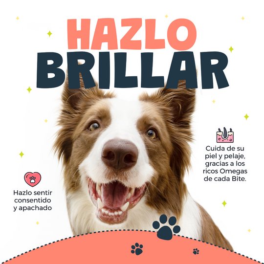 Premios Waggy’s Bites Salmón 50 Pzas Deliciosos y Nutritivos para Perros y Gatos