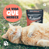 Premios Waggy’s Bites Salmón 50 Pzas Deliciosos y Nutritivos para Perros y Gatos