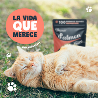Premios Waggy’s Bites Salmón 50 Pzas Deliciosos y Nutritivos para Perros y Gatos