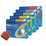 NexGard Spectra – Tableta masticable anti‑parásitos para perros (varias presentaciones por peso)