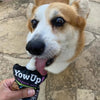 Yow Up! Yogurt Natural Perro 115 Gr Prebioticos