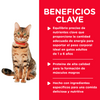 Hills Science Diet Alimento Gatos Adulto Healthy Cuisine Lata Estofado Alimento Humedo