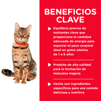 Hills Science Diet Alimento Gatos Adulto Healthy Cuisine Lata Estofado Alimento Humedo